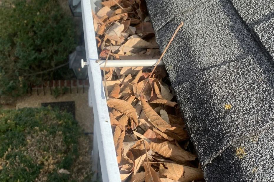 Gutter Cleaning Candler