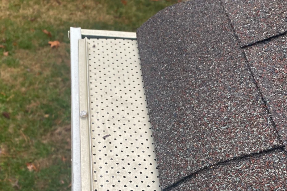 Gutter Cleaning Candler