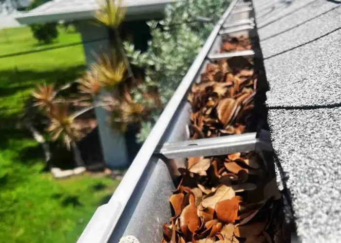 Gutter Cleaning Candler home page